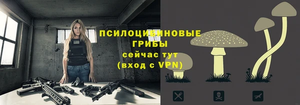 наркотики Белокуриха