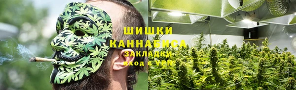 наркотики Белокуриха